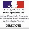 Logo Direccete
